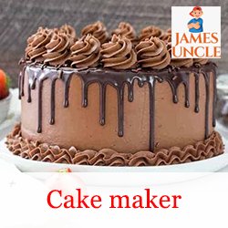 Cake maker Mrs. Tumpi Ghosh in Kalyani